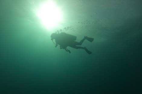 Review img # 7 of the yacht AMAYA